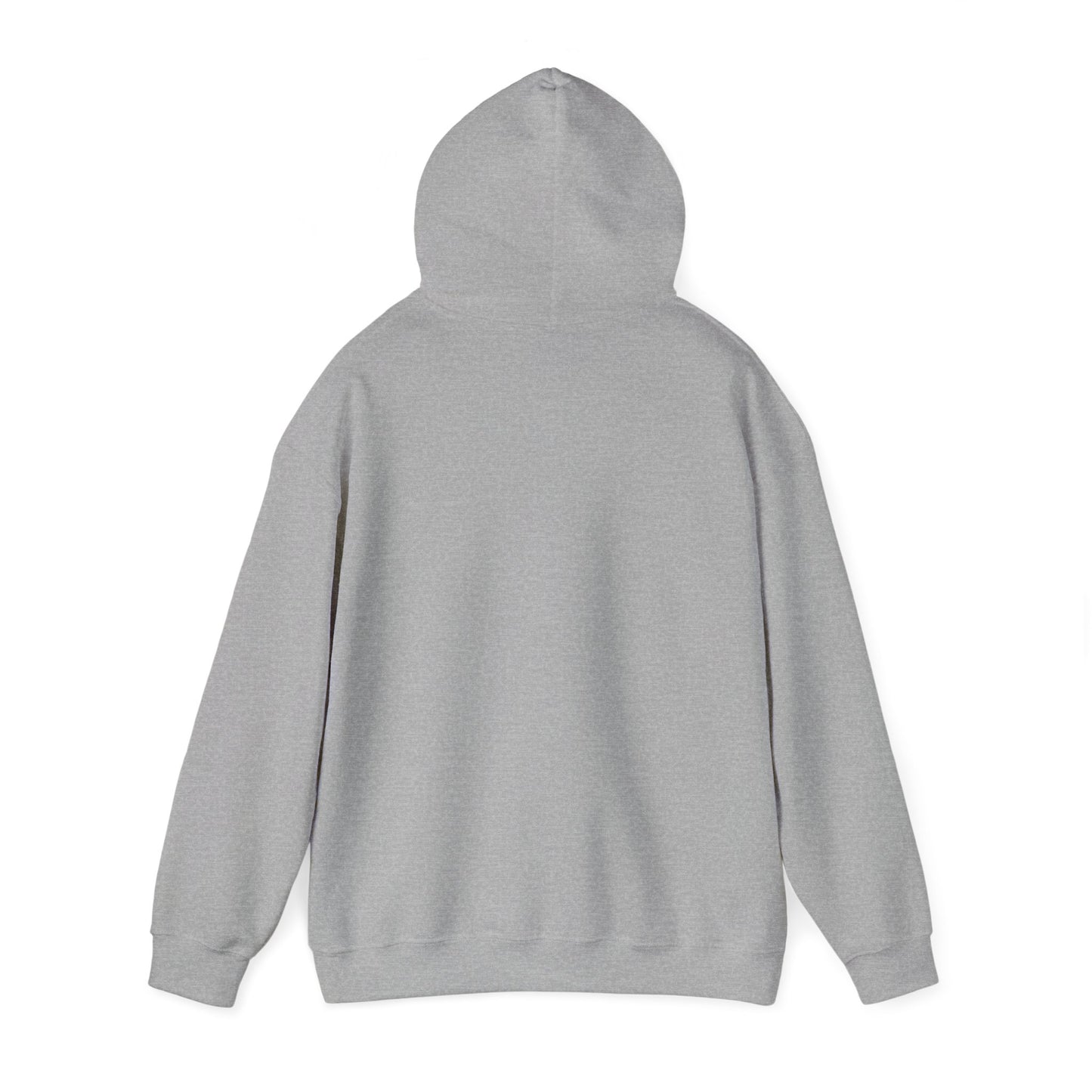 Patagonia Mountain, Argentina Hoodie