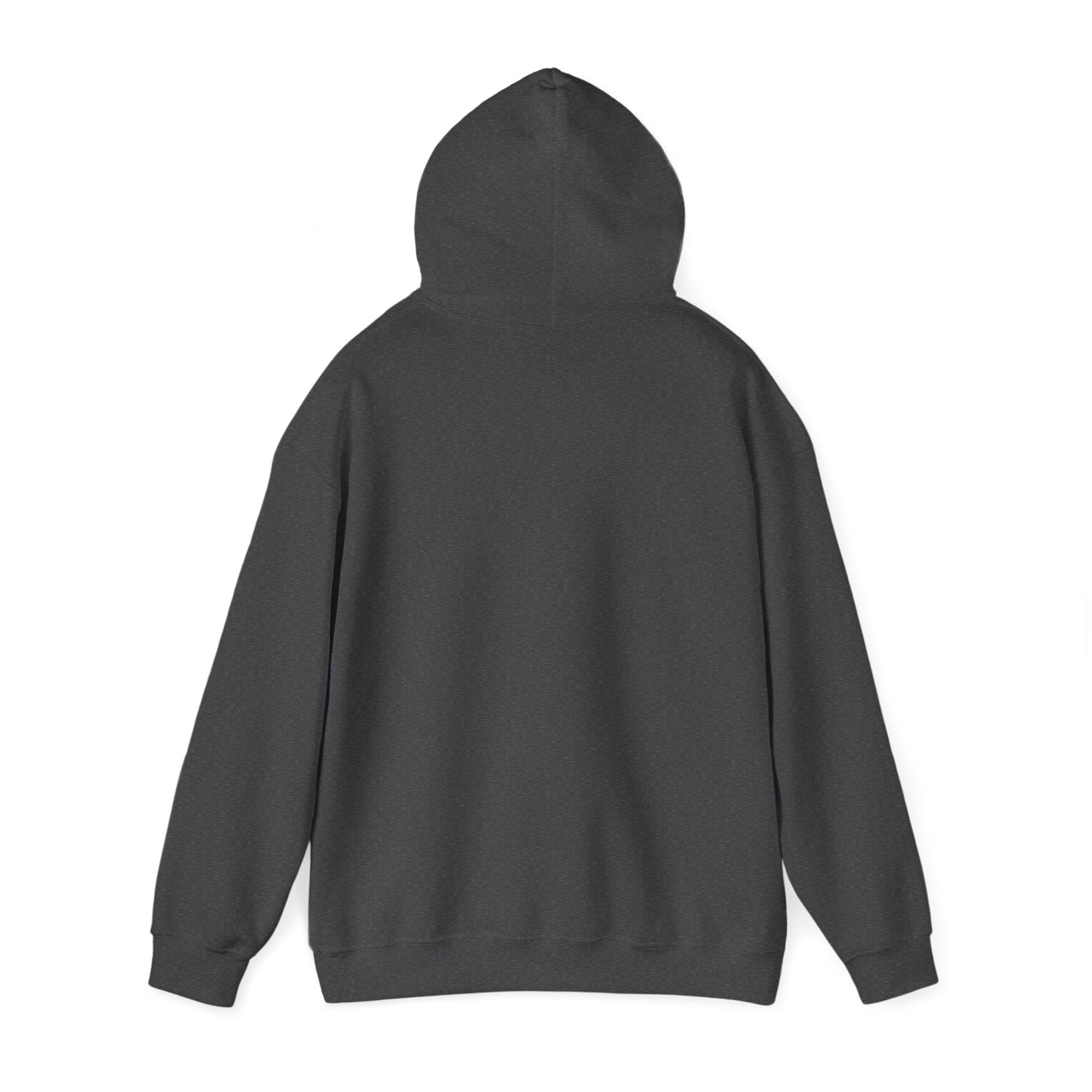 Patagonia Mountain, Argentina Hoodie