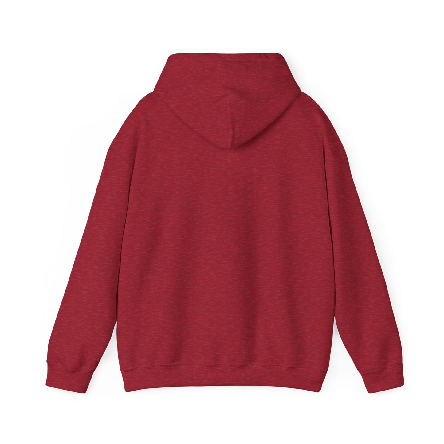 Patagonia Mountain, Argentina Hoodie