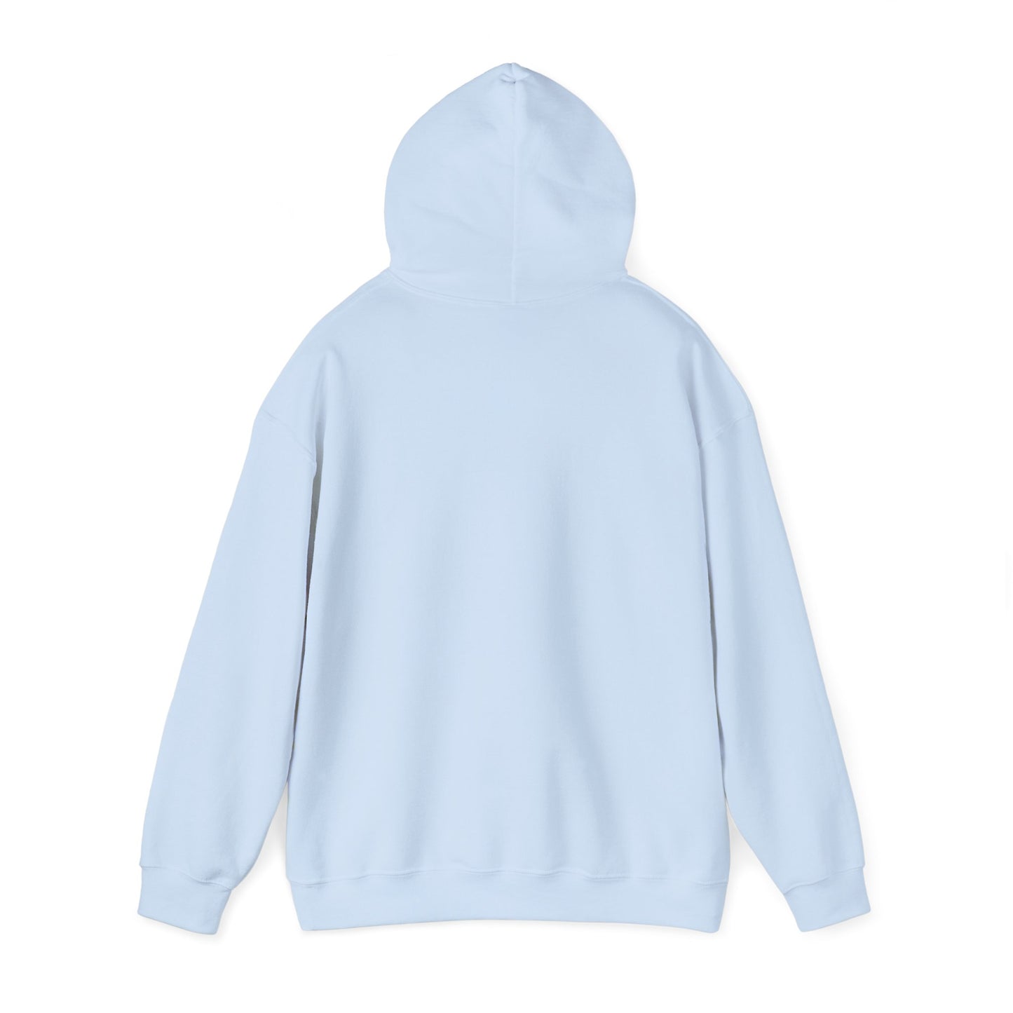 Patagonia Mountain, Argentina Hoodie