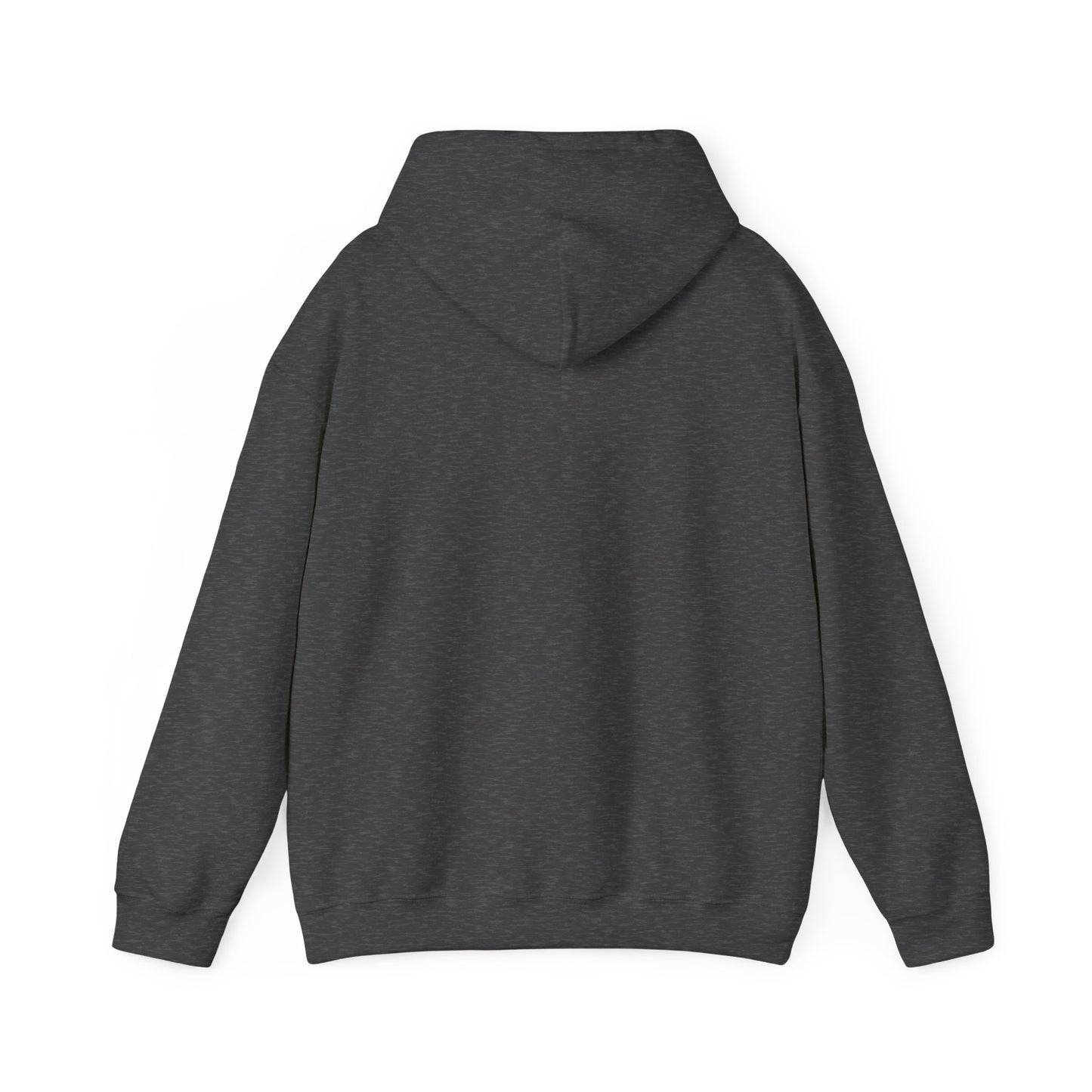Patagonia Mountain, Argentina Hoodie