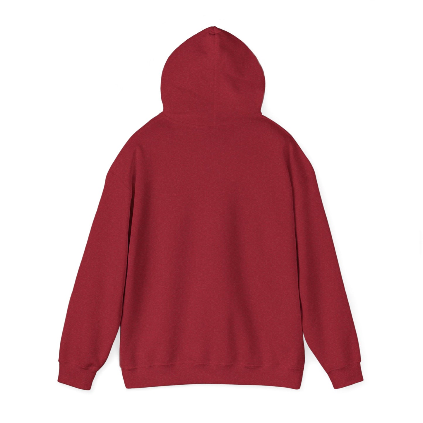 Patagonia Mountain, Argentina Hoodie