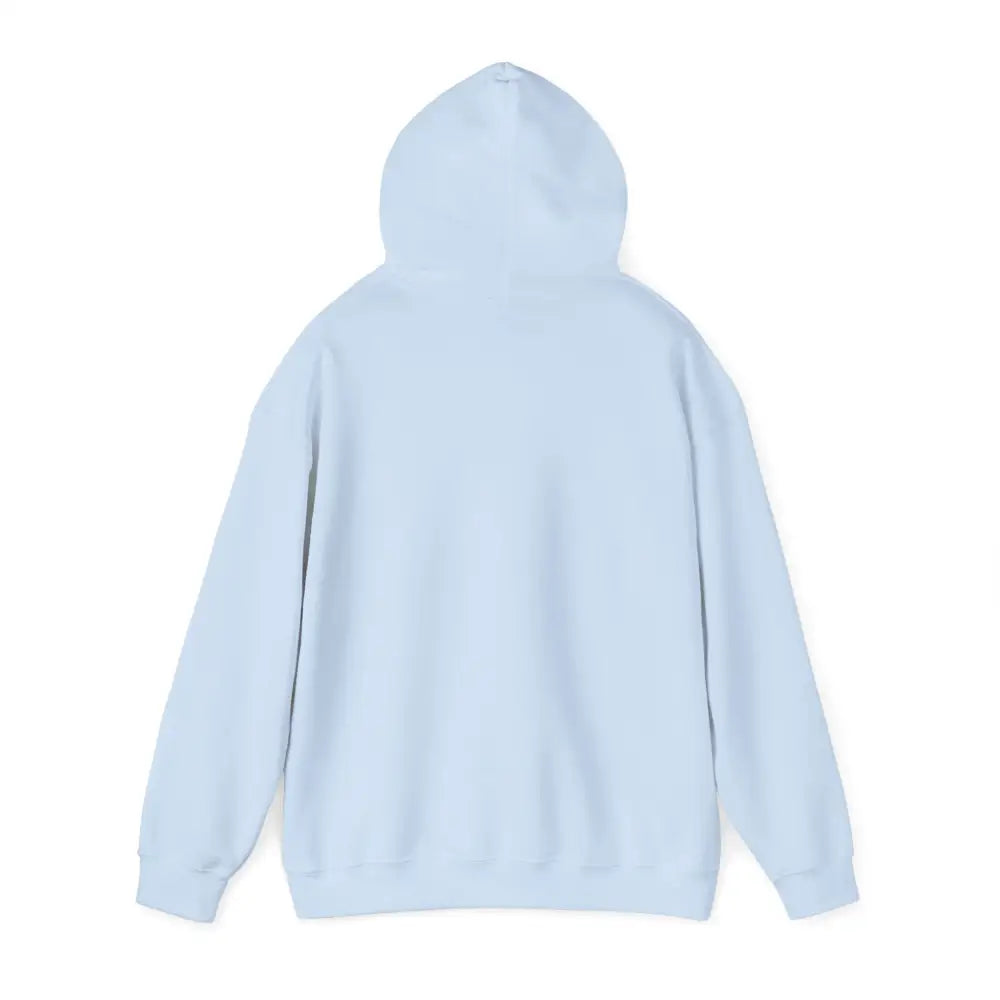 Light blue cozy hooded sweatshirt with mountain range embroidery and long sleeves