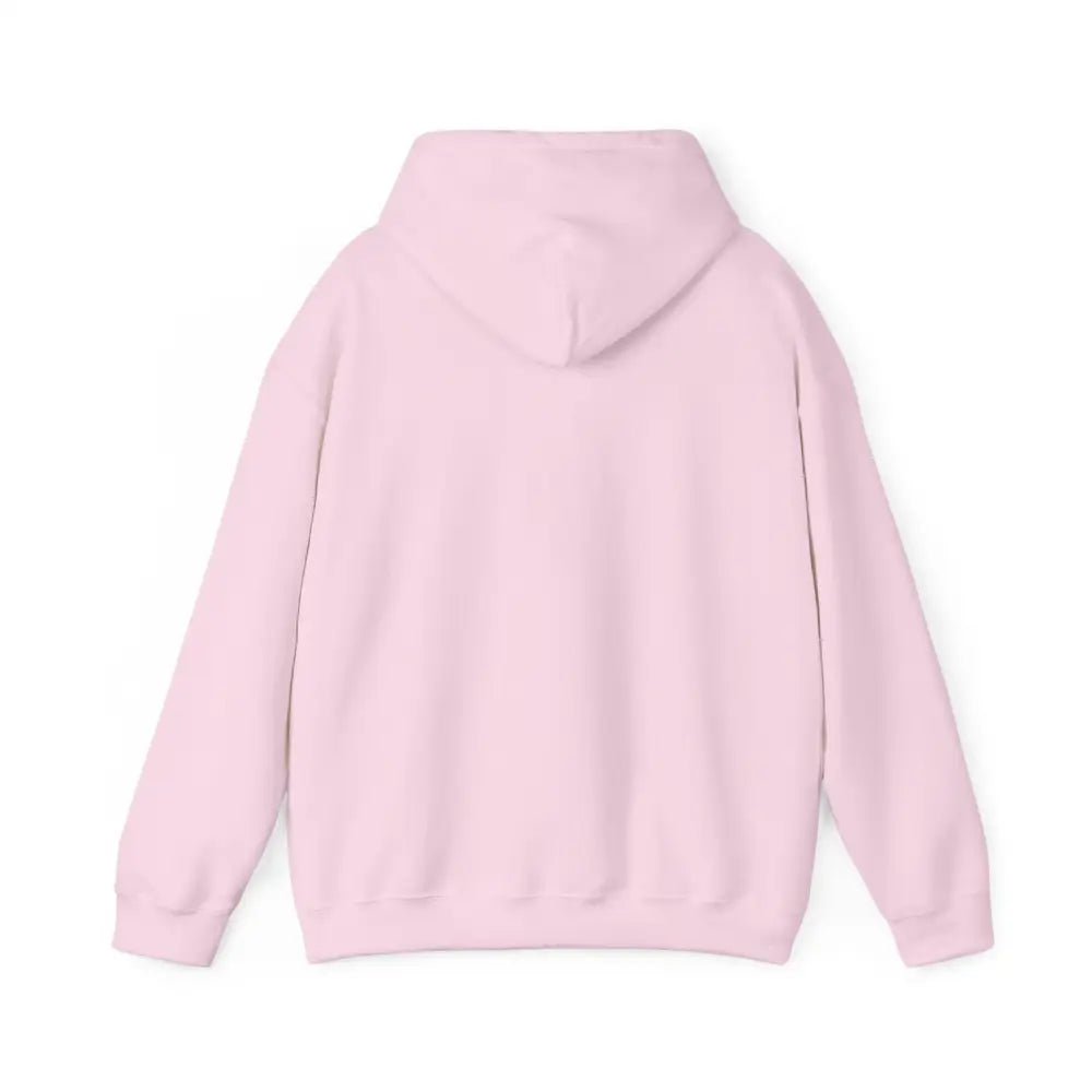 Light pink cozy hooded sweatshirt with Patagonia Mountain Range design and ribbed cuffs