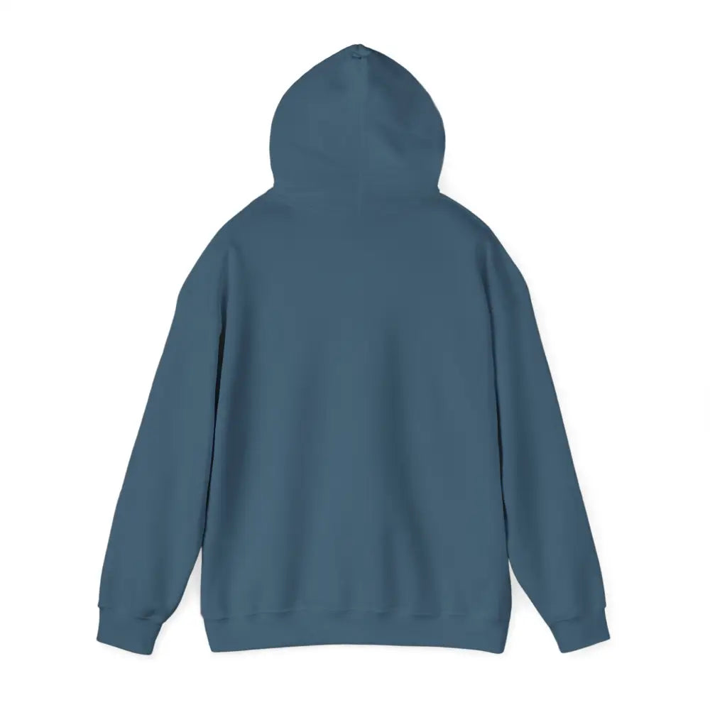 Teal blue Patagonia Mountain Range cozy hooded sweatshirt with ribbed cuffs