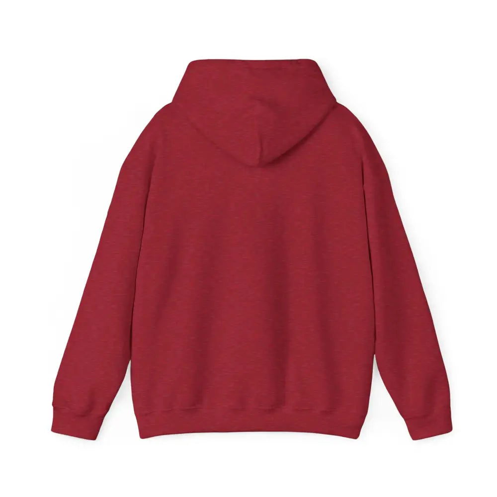 Plain red oversized hoodie with Patagonia Mountain Range design, cozy hooded sweatshirt