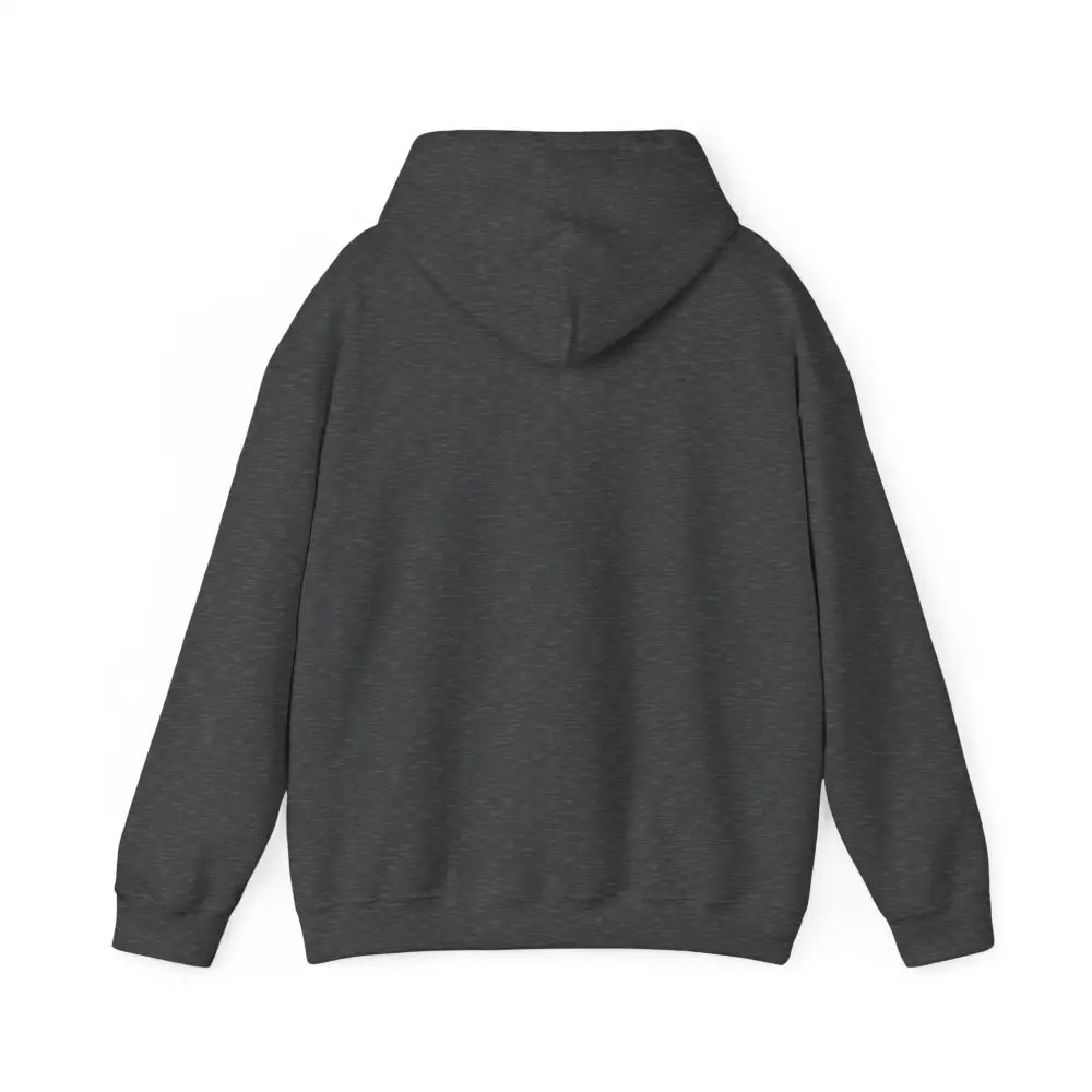 Dark gray Patagonia Mountain Range hoodie with textured fabric, cozy hooded sweatshirt