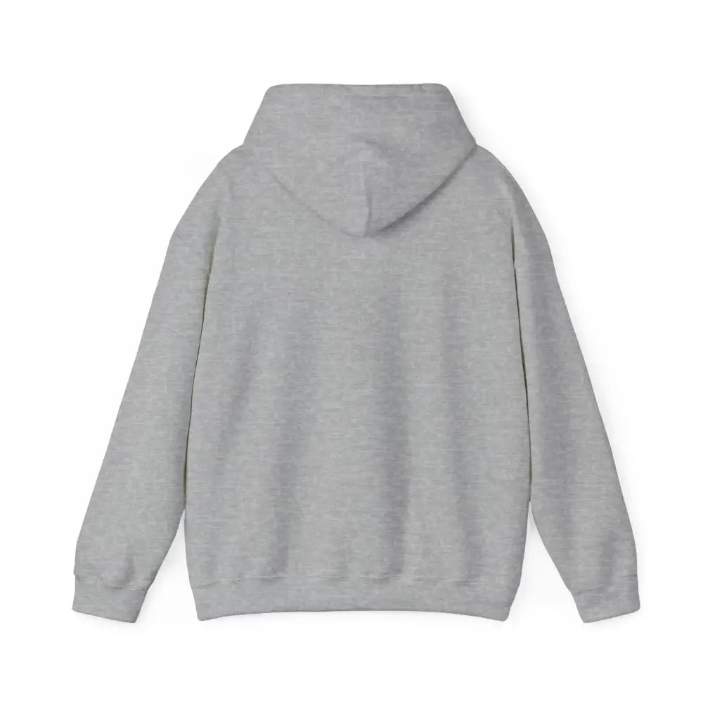 Gray cozy hooded sweatshirt with Patagonia Mountain Range design and ribbed cuffs
