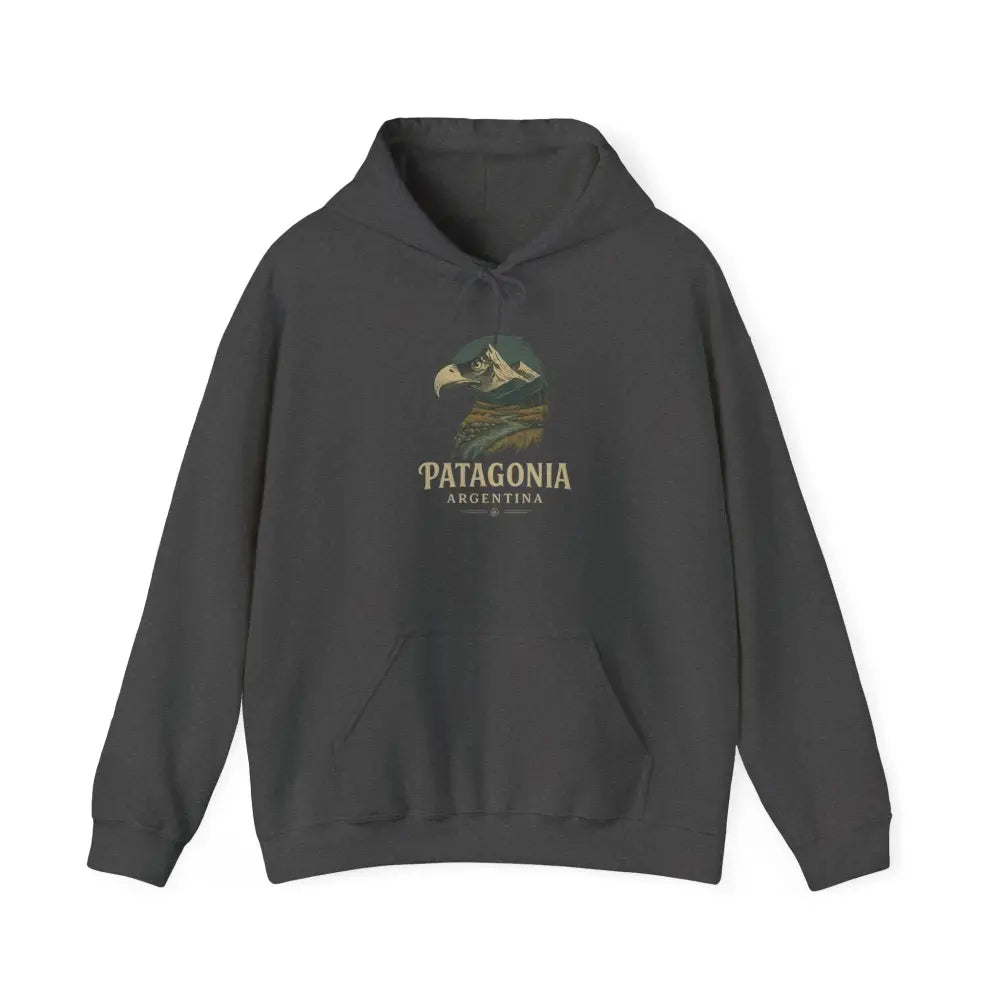 Dark gray cozy hooded sweatshirt with eagle and mountain graphic featuring Patagonia Mountain Range design