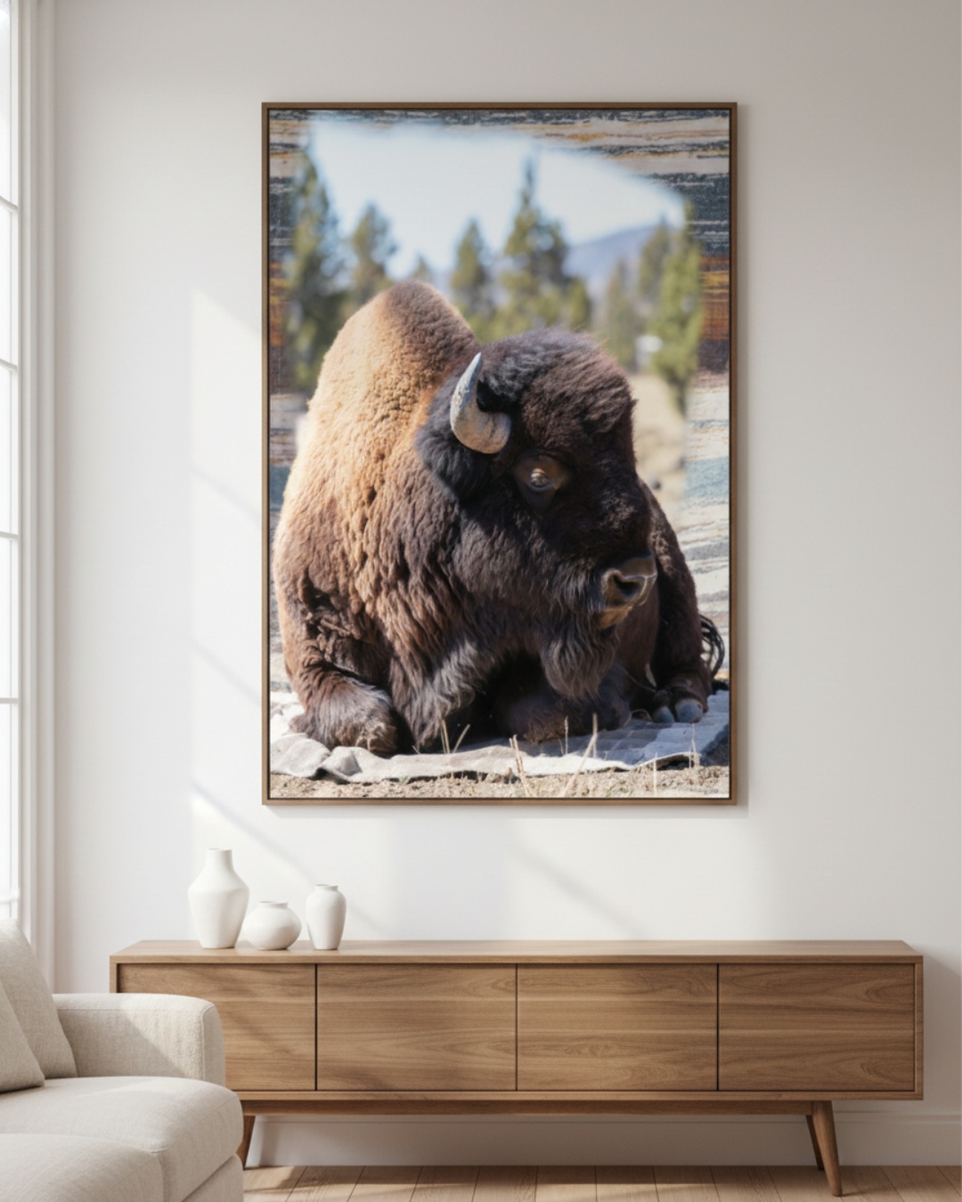 American Bison Wall Art Print - Wildlife Photography Rustic Decor Nature Gifts
