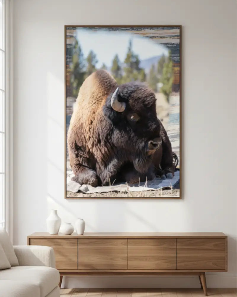 Framed american bison wall art with rustic wildlife photography decor