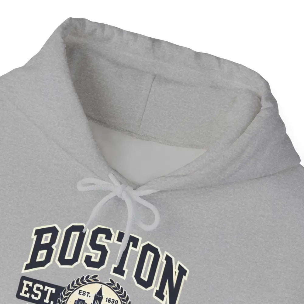 Boston Graphic Hoodie light gray hooded sweatshirt
