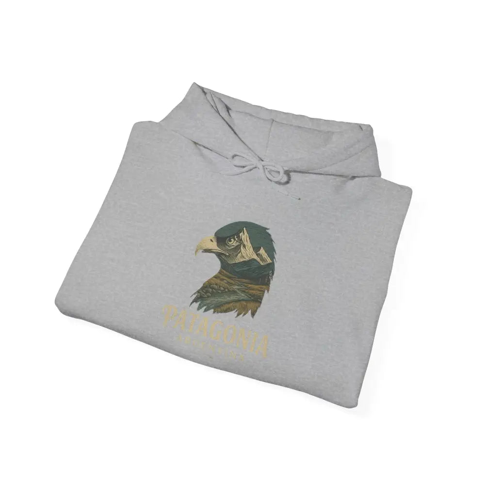 Light grey Patagonia Mountain Range hoodie with eagle graphic and cozy hooded sweatshirt style