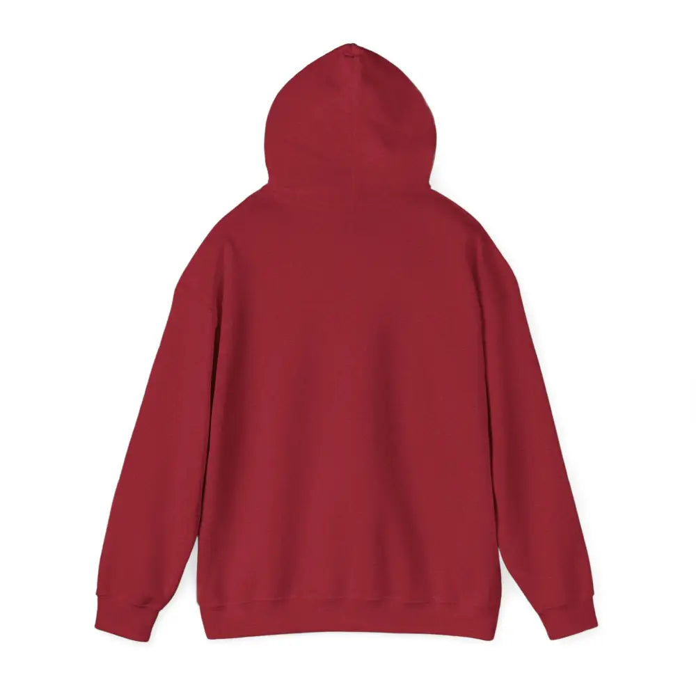 Red cozy hooded sweatshirt with ribbed cuffs and hem featuring Patagonia Mountain Range design