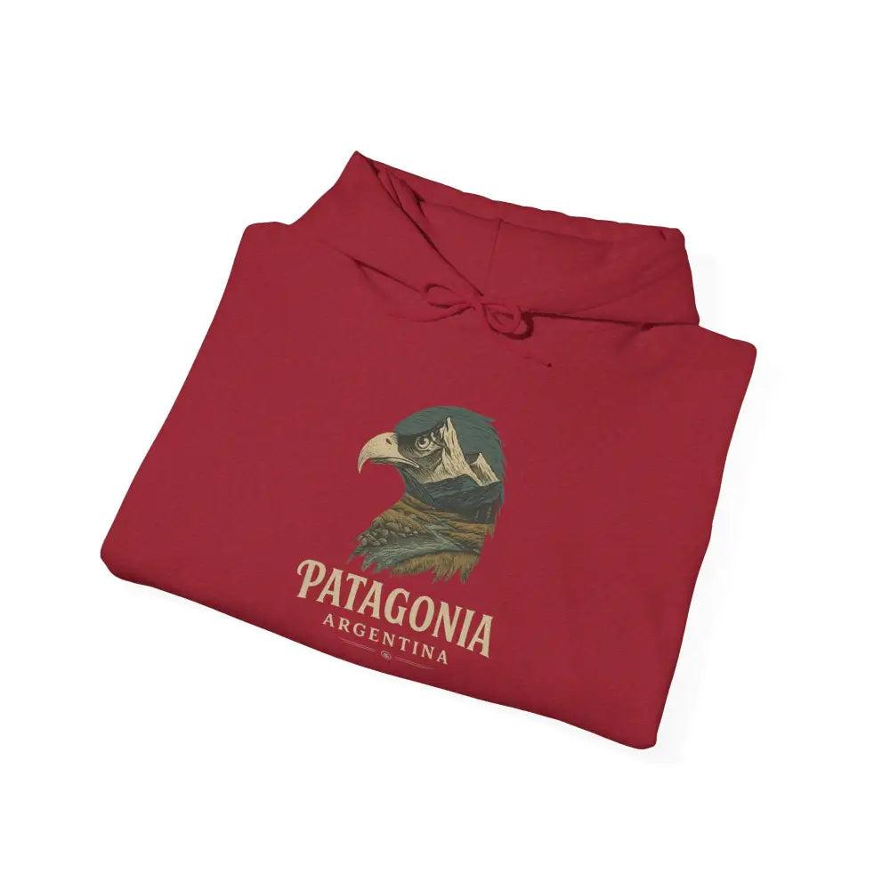Folded red hoodie with eagle and mountain graphic from Patagonia Mountain Range collection