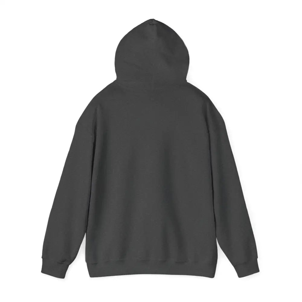 Dark gray cozy hooded sweatshirt with Patagonia Mountain Range design and ribbed cuffs