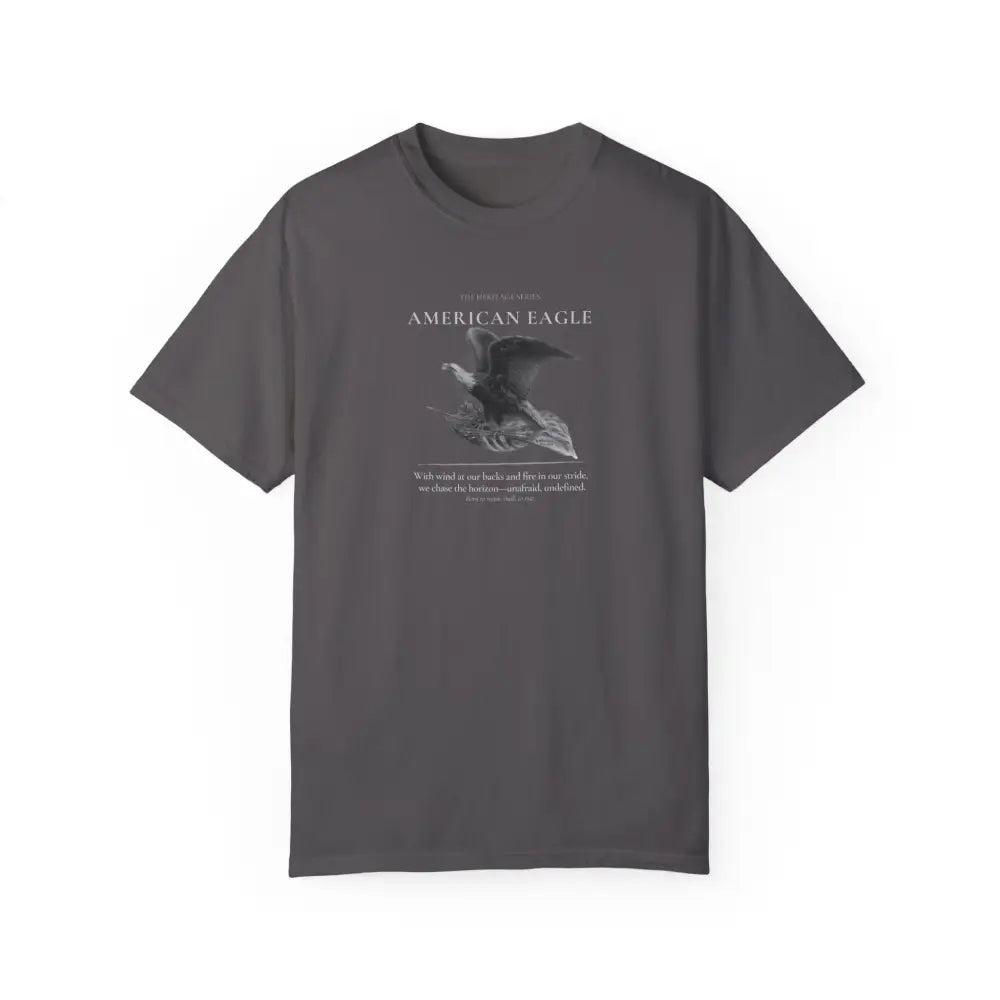 Dark gray American Eagle Heritage Series graphic tee with eagle