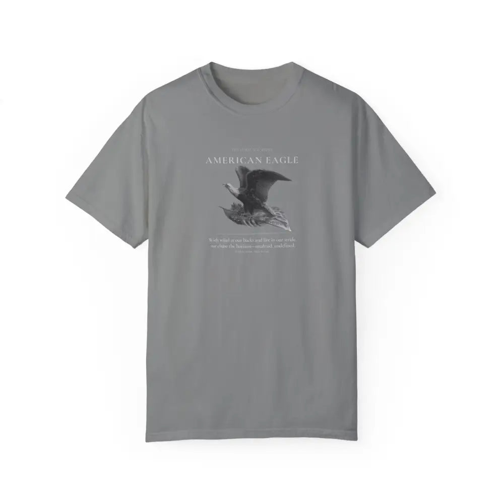 American Eagle Heritage Series gray eagle graphic tee