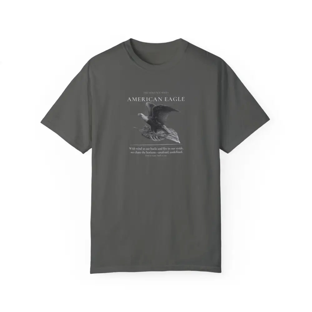 Charcoal gray American Eagle Heritage Series graphic tee with flying eagle print