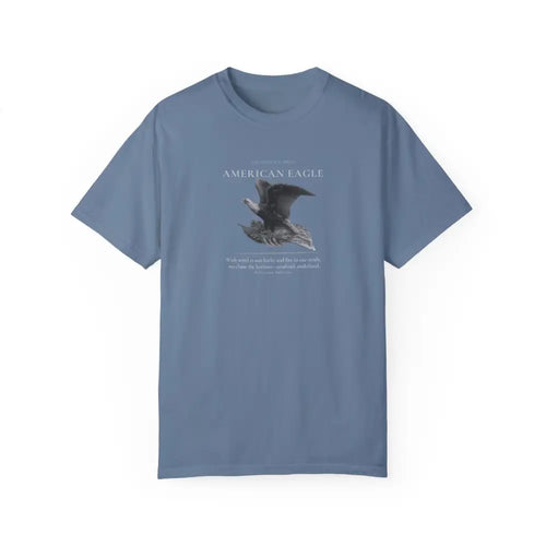 Blue American Eagle Heritage Series graphic tee with embroidered corduroy