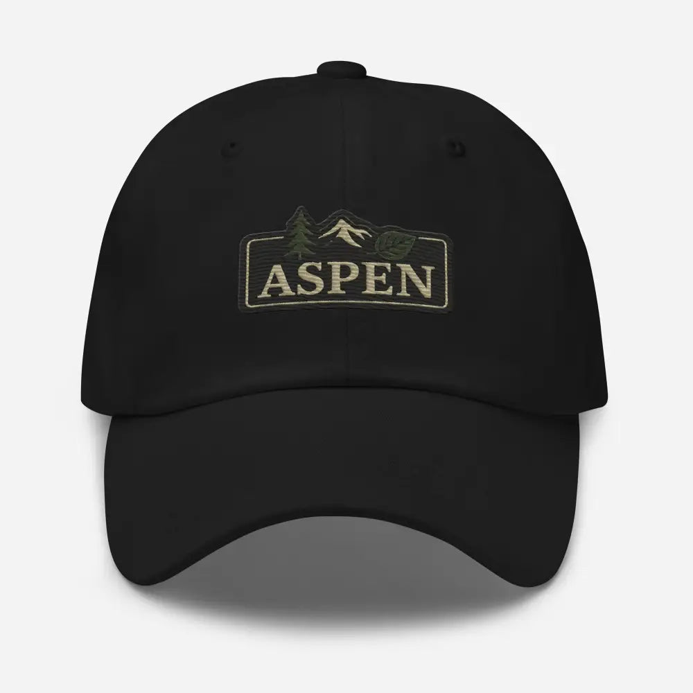 Vintage-style Aspen embroidered black baseball cap