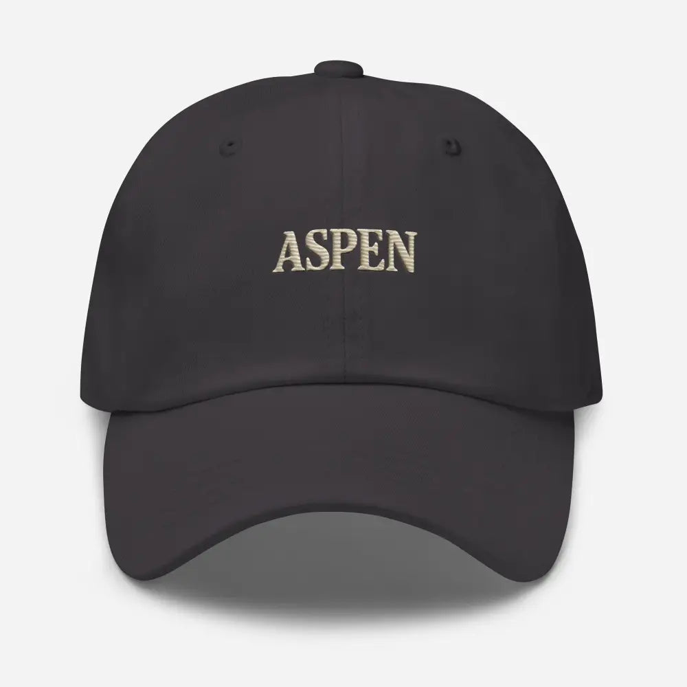 Vintage-style Aspen embroidered dark grey baseball cap