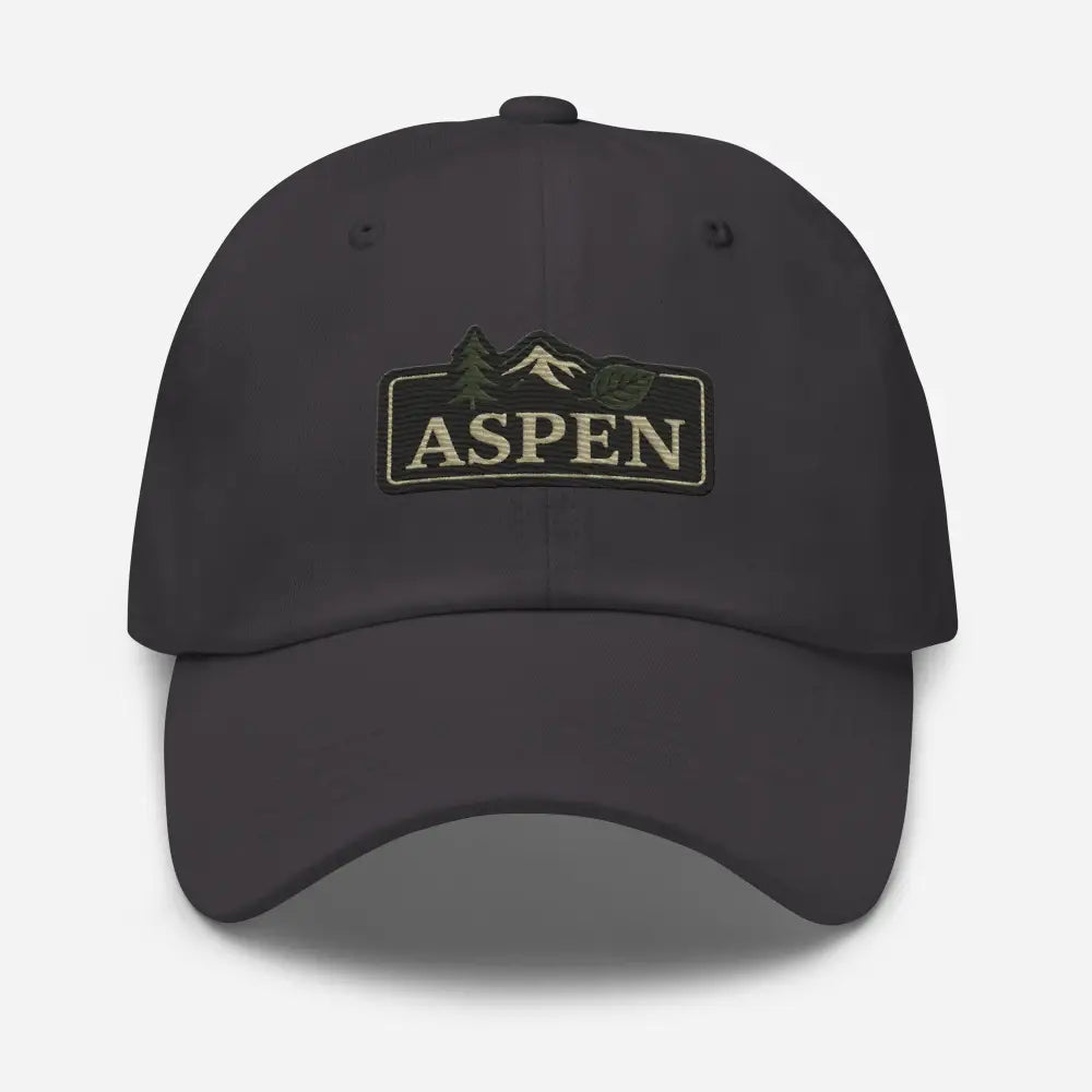 Vintage-style Aspen embroidered dark gray baseball cap