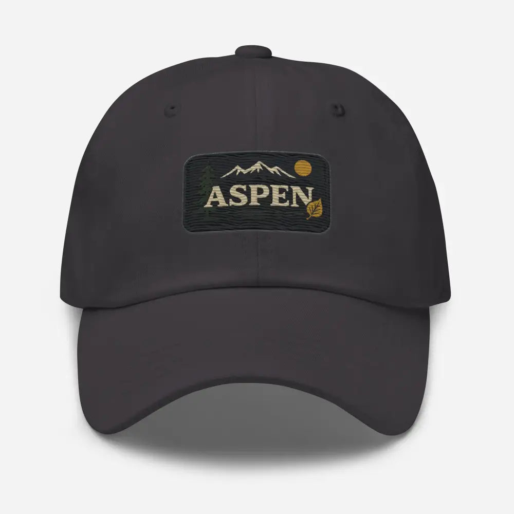 Vintage-style Aspen embroidered hat in dark gray baseball cap
